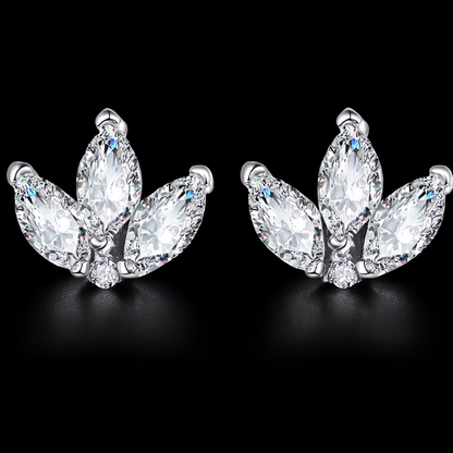 Exvarri Essentials – Set of 3